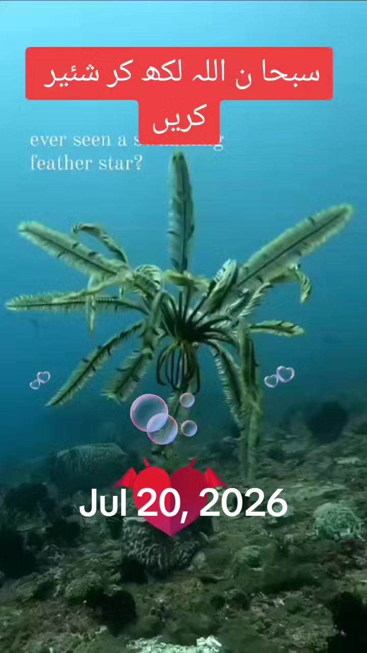 @ℙ𝕤𝕪𝕔𝕙𝕠𝕃𝕠𝕘𝕚𝕩