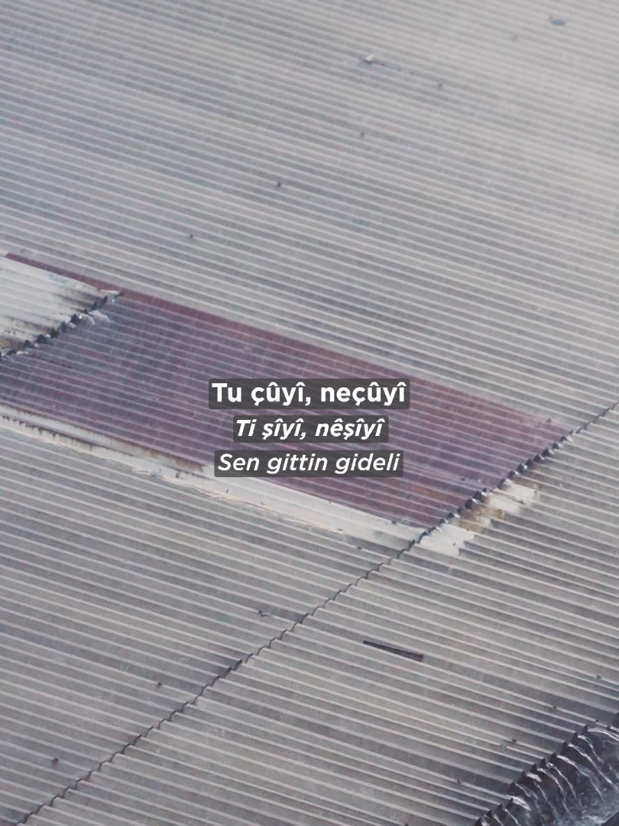 @Mehmet Atlı