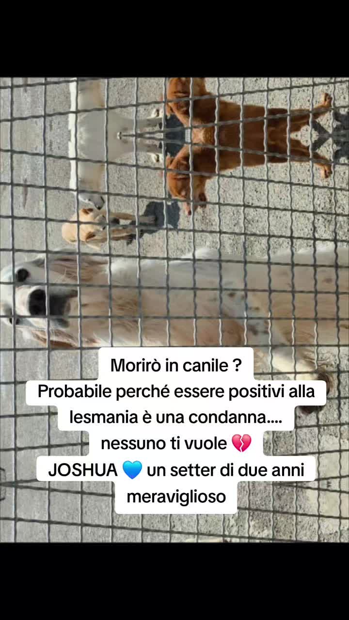 @Manuela