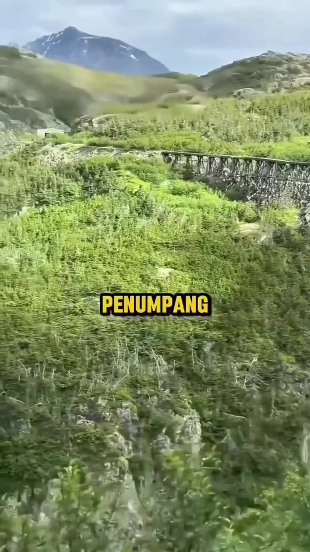 @𝑴𝒂𝒖𝒍𝒍𝒍