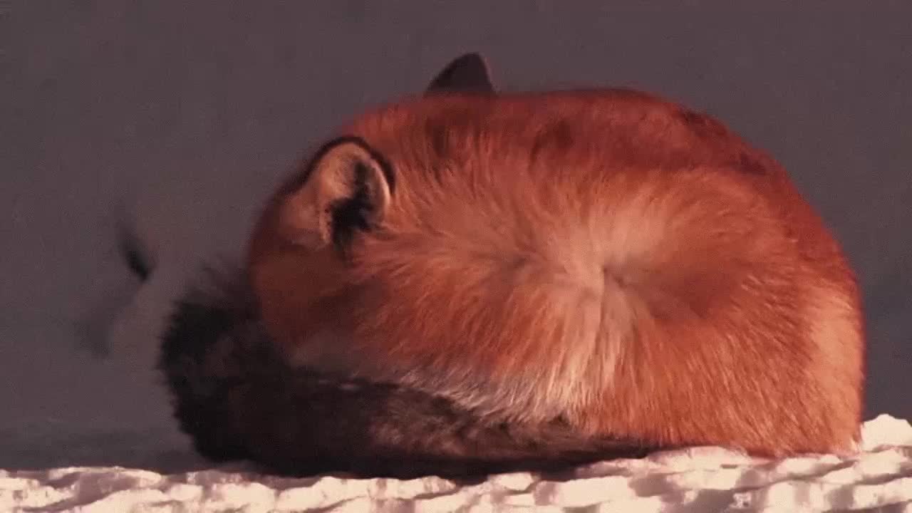 @心灵大师