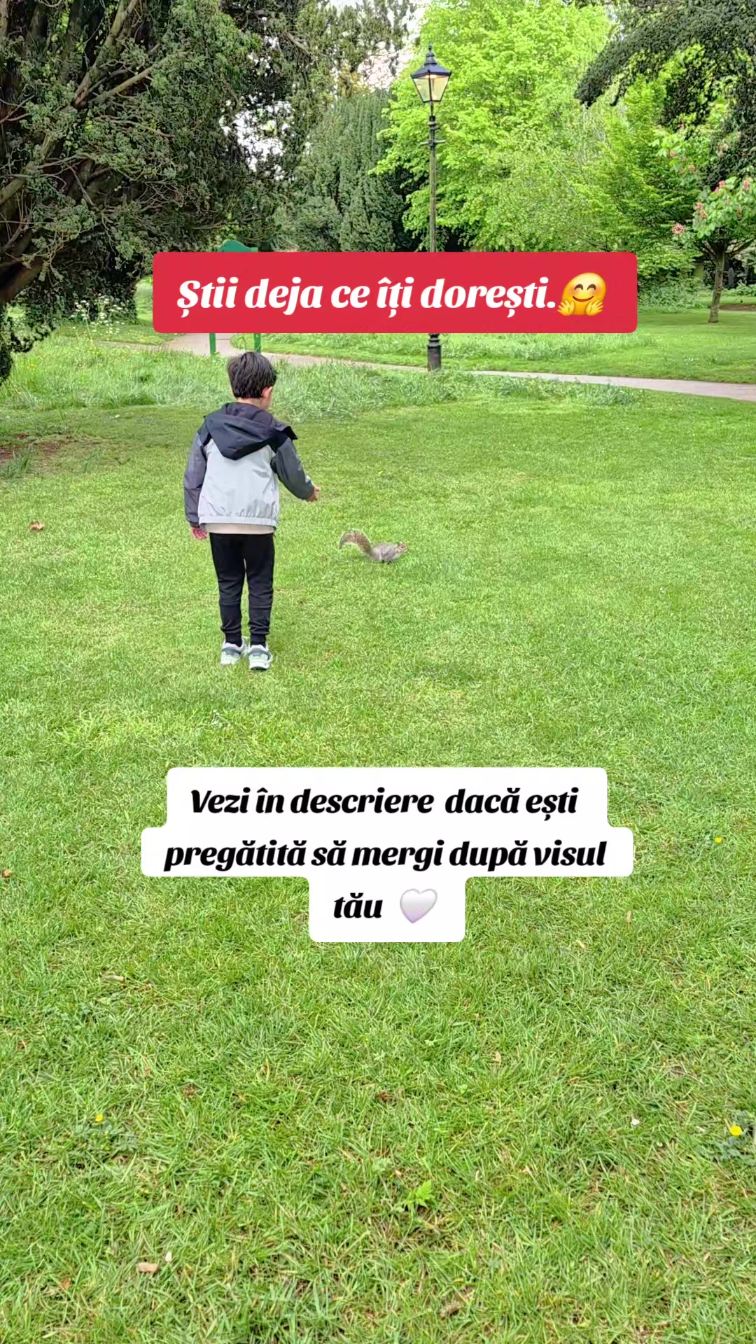 @St&euml;ll@