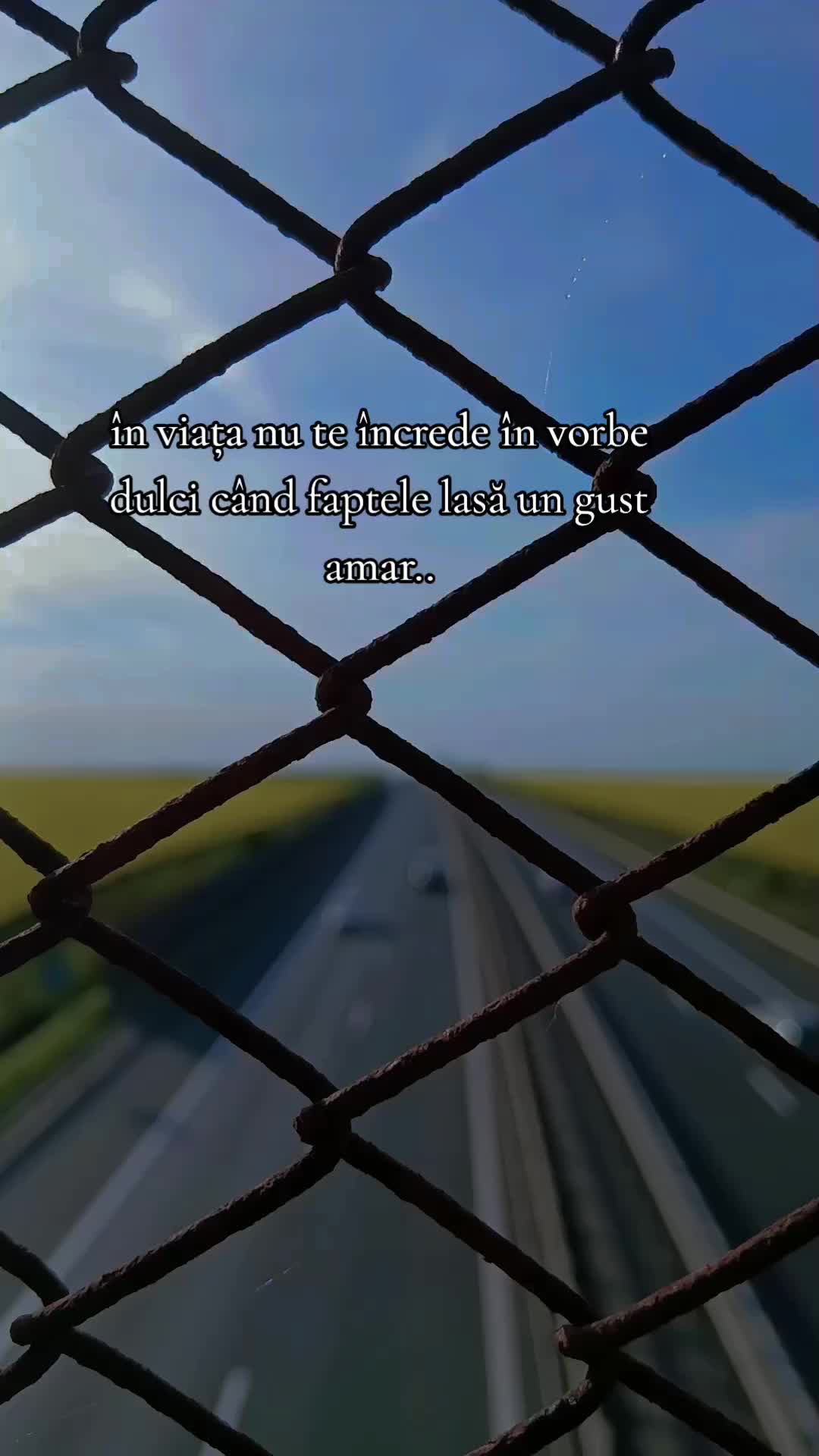 @⚜️Ąĺịɲ⚜️