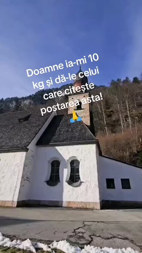 @Nița Foitoș