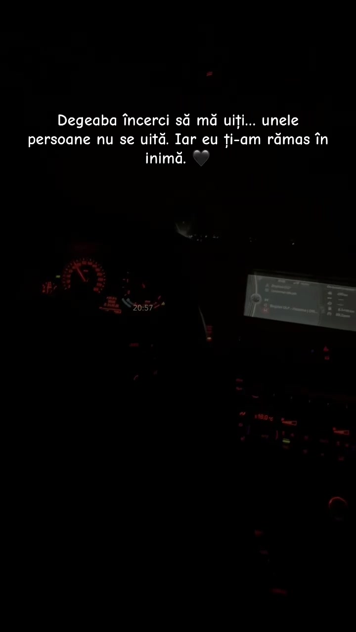@ibogdii99