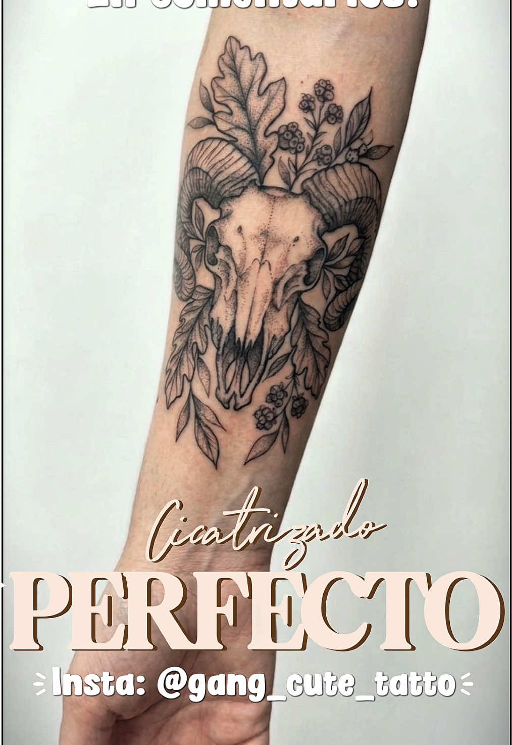 @💗Jacqline.Tattoo💗