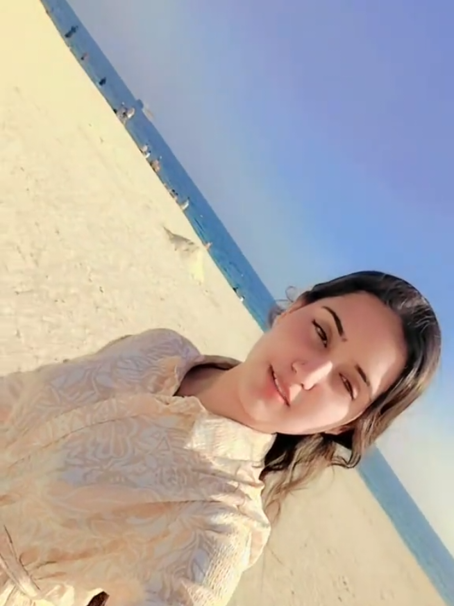 @z m Editor