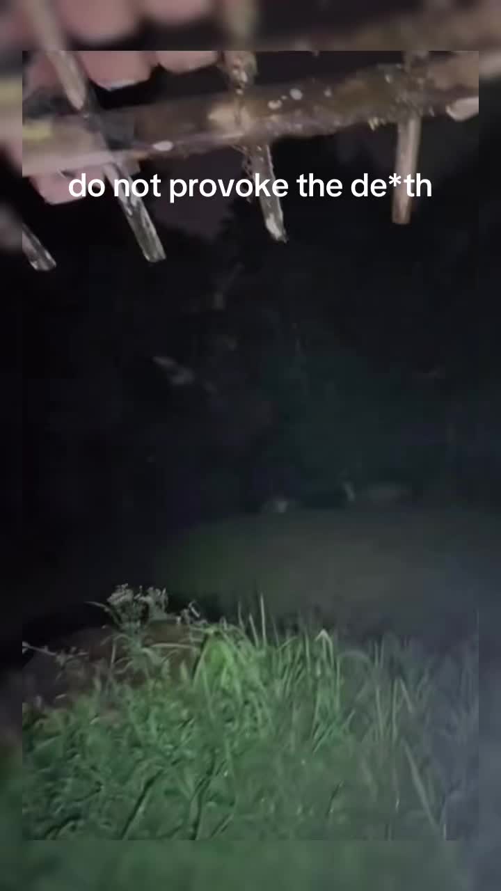 @Scary Cucuy