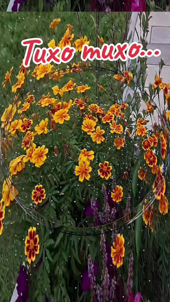 @Валентина