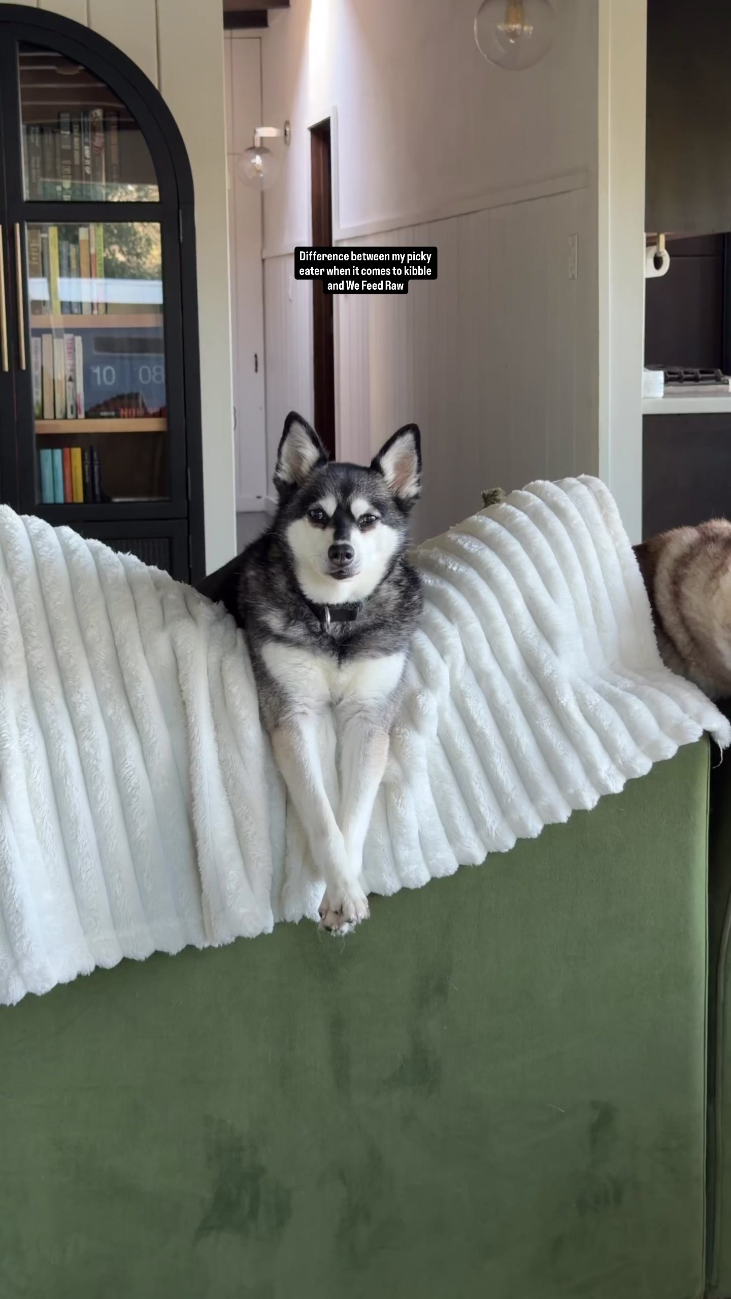 @lifewithkleekai