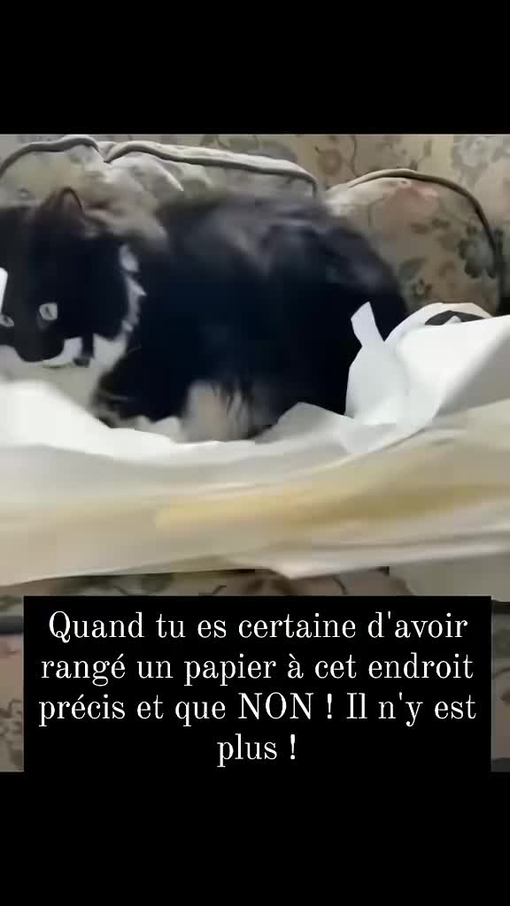 @🙃la daronne krisss🙃