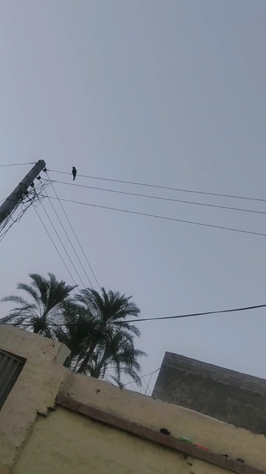 @Gujjar Saehen 🦅🦅🦅🦅🥷🥷