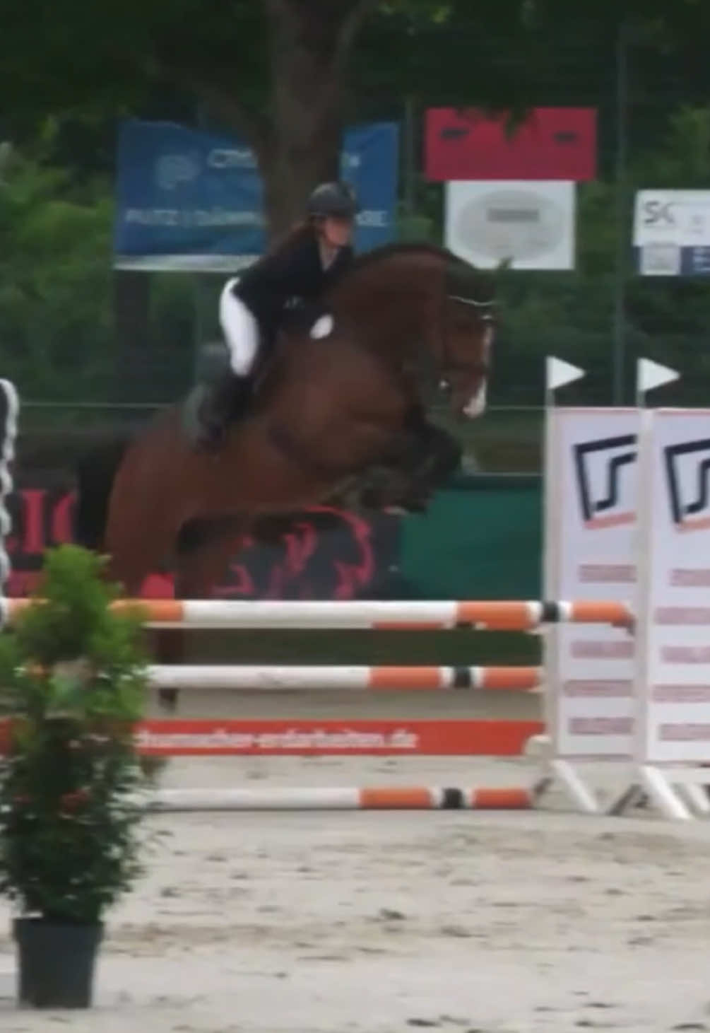 @La.Dolce.Horses