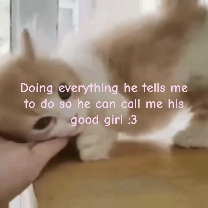 @🐾