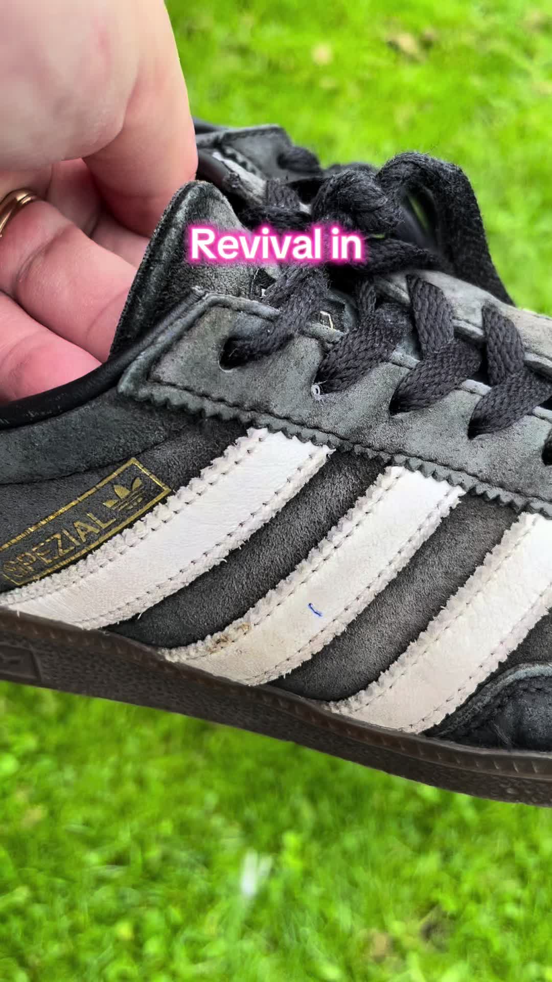 @Washed Webs The Revival