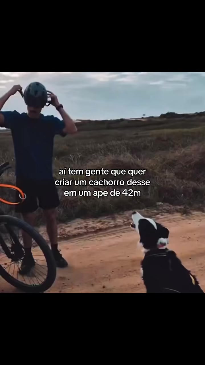 @Matheus Albuquerque