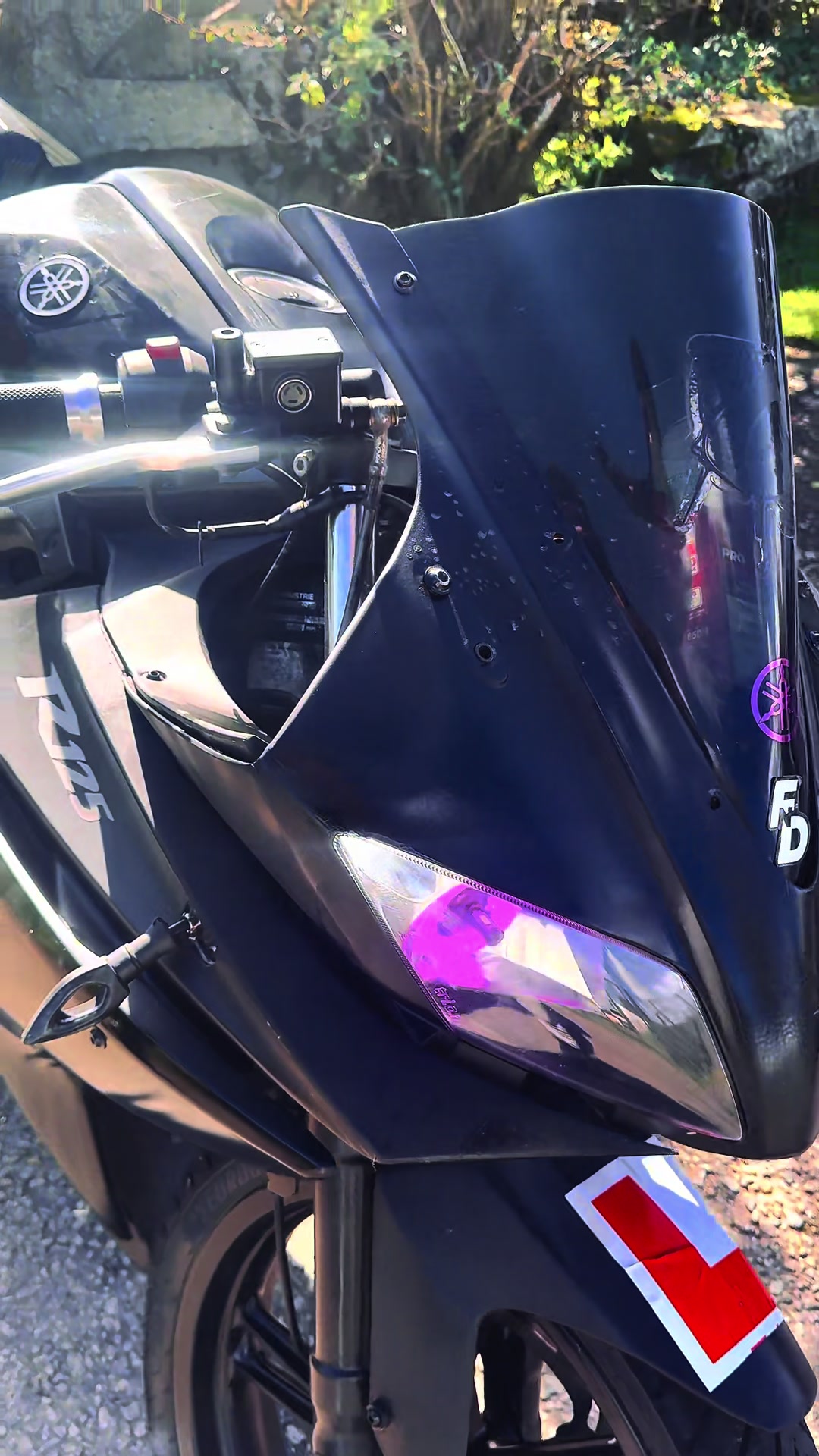 @wh05_yzfr