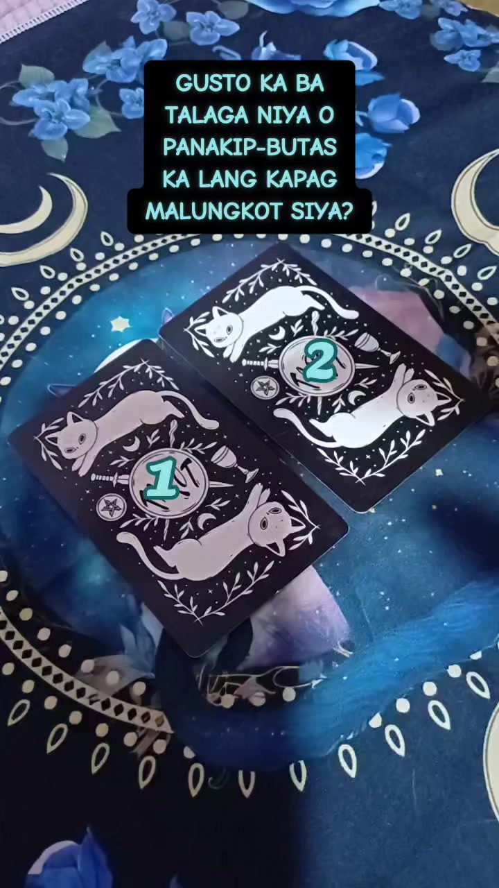 @Marie Tarot Reader