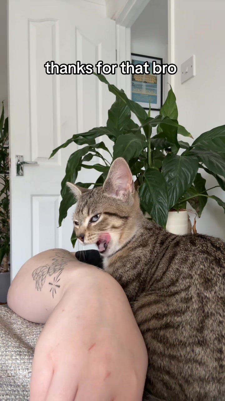 @anna🌷