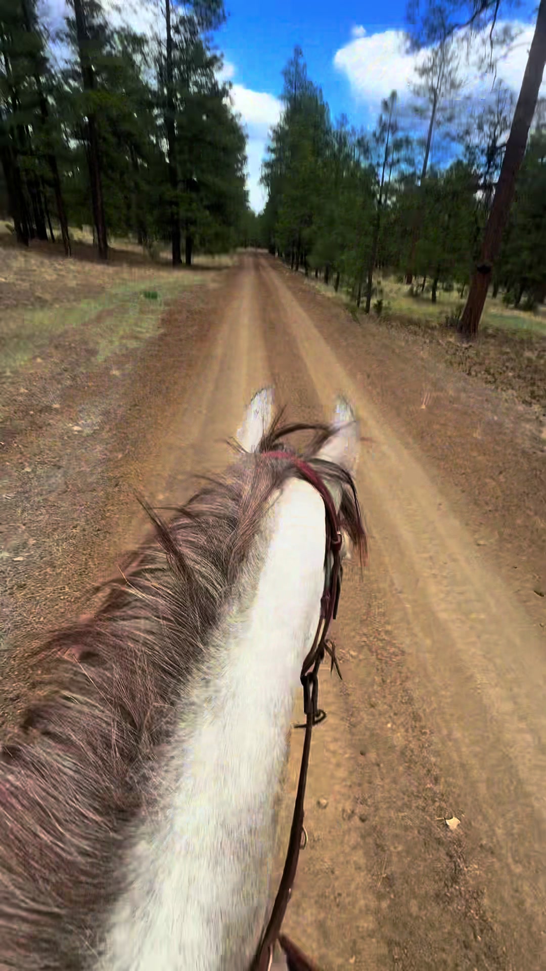 @Ridge Line Ranch