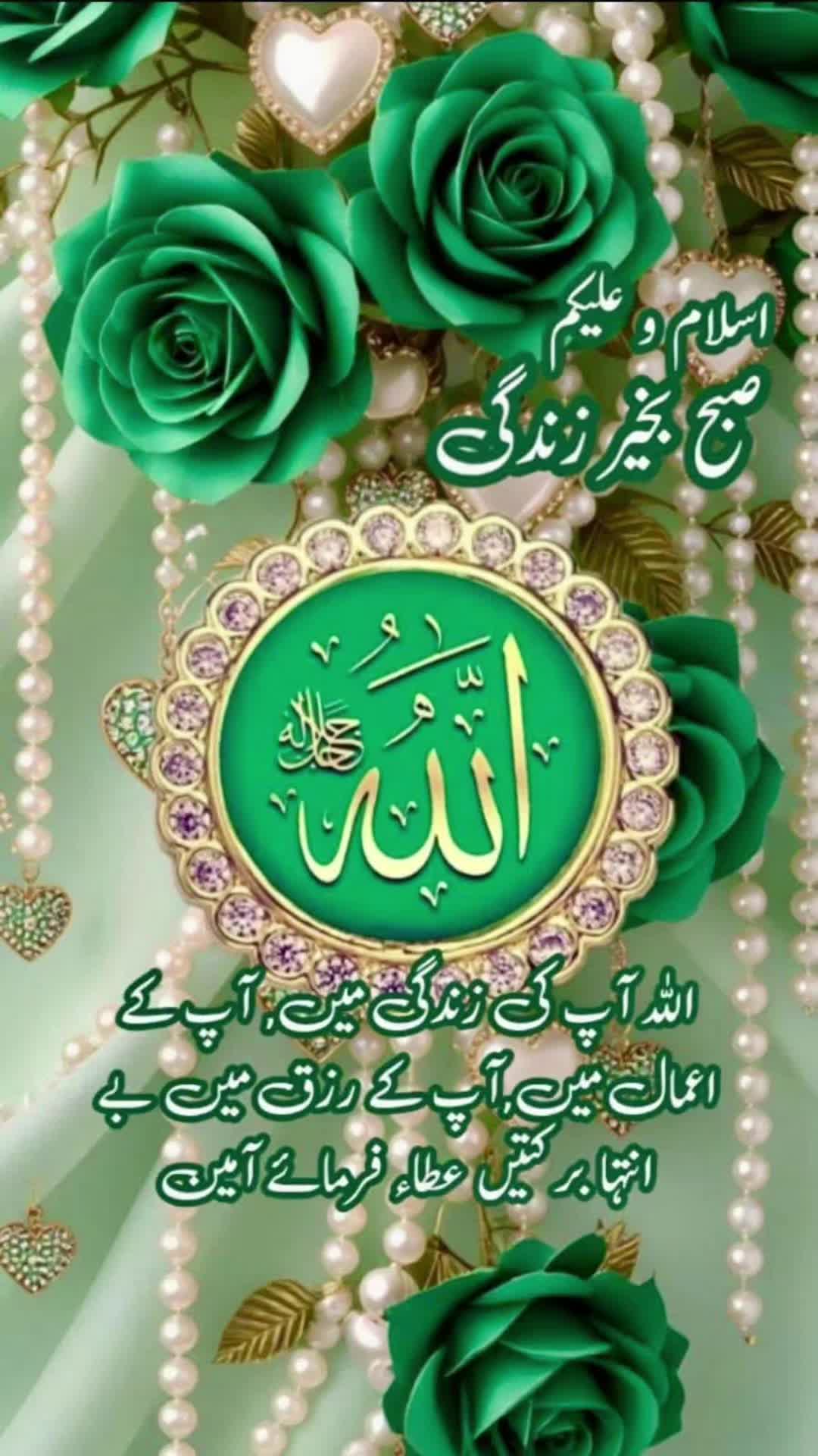 @Zulfiqar Haider