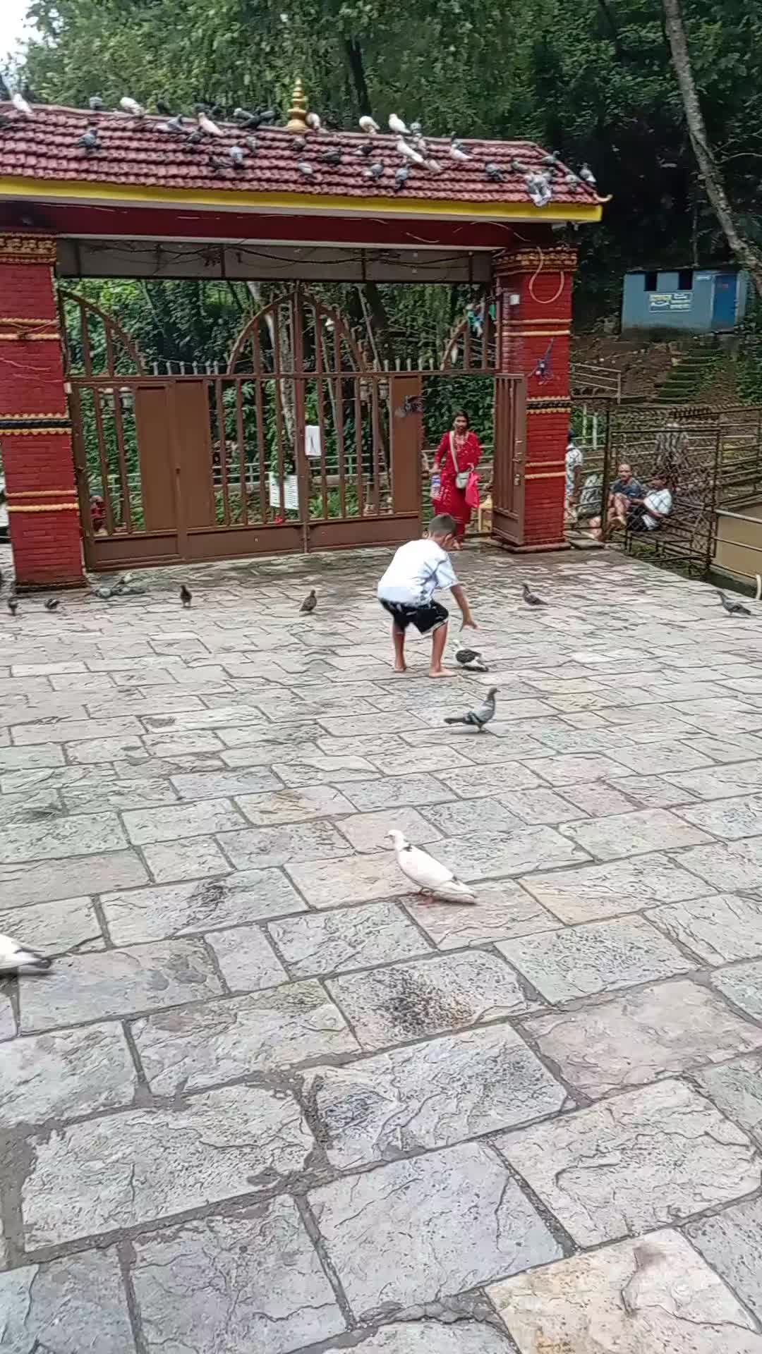@Soni Gharti