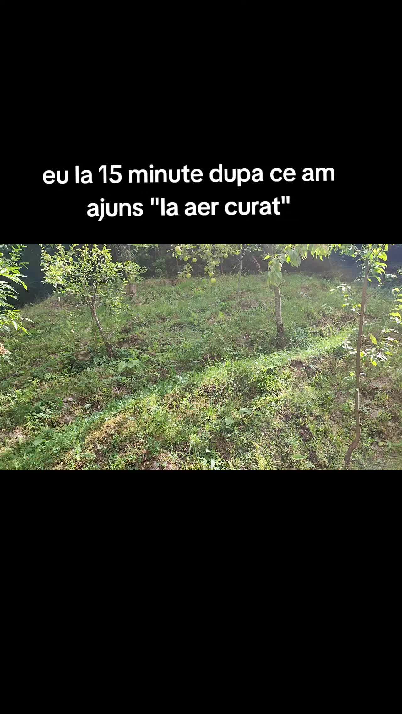 @Hera