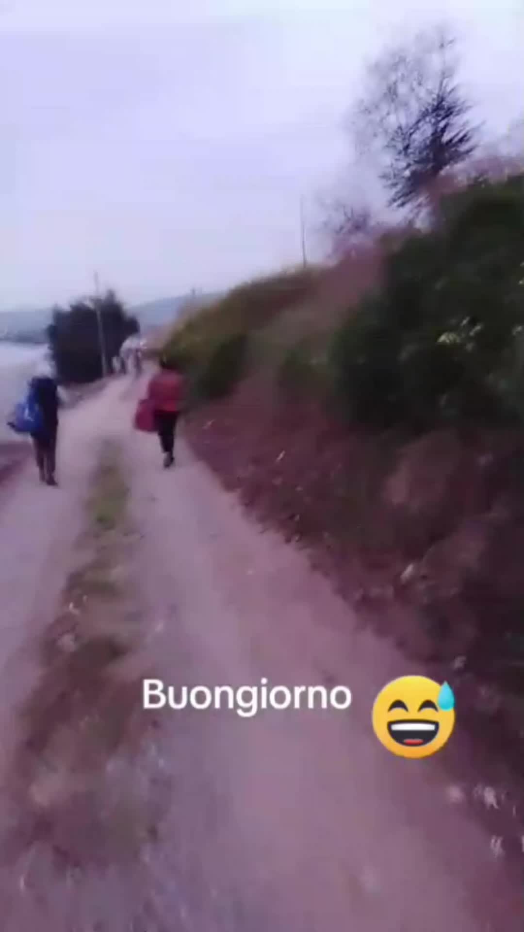 @Vanessa 🍀🦬