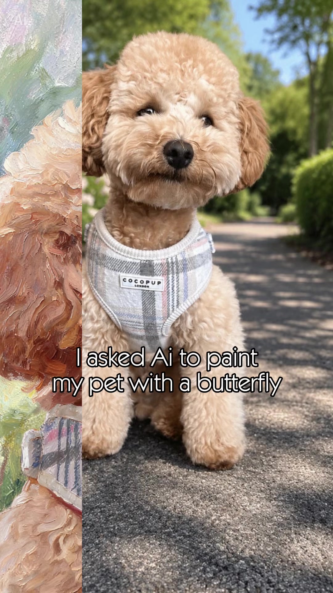 @💚 𝓒𝓵𝓪𝓻𝓮 💚