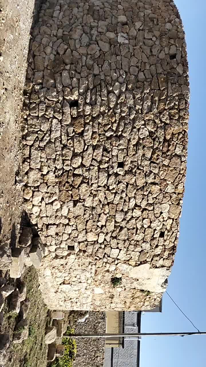 @giuseppepintald48