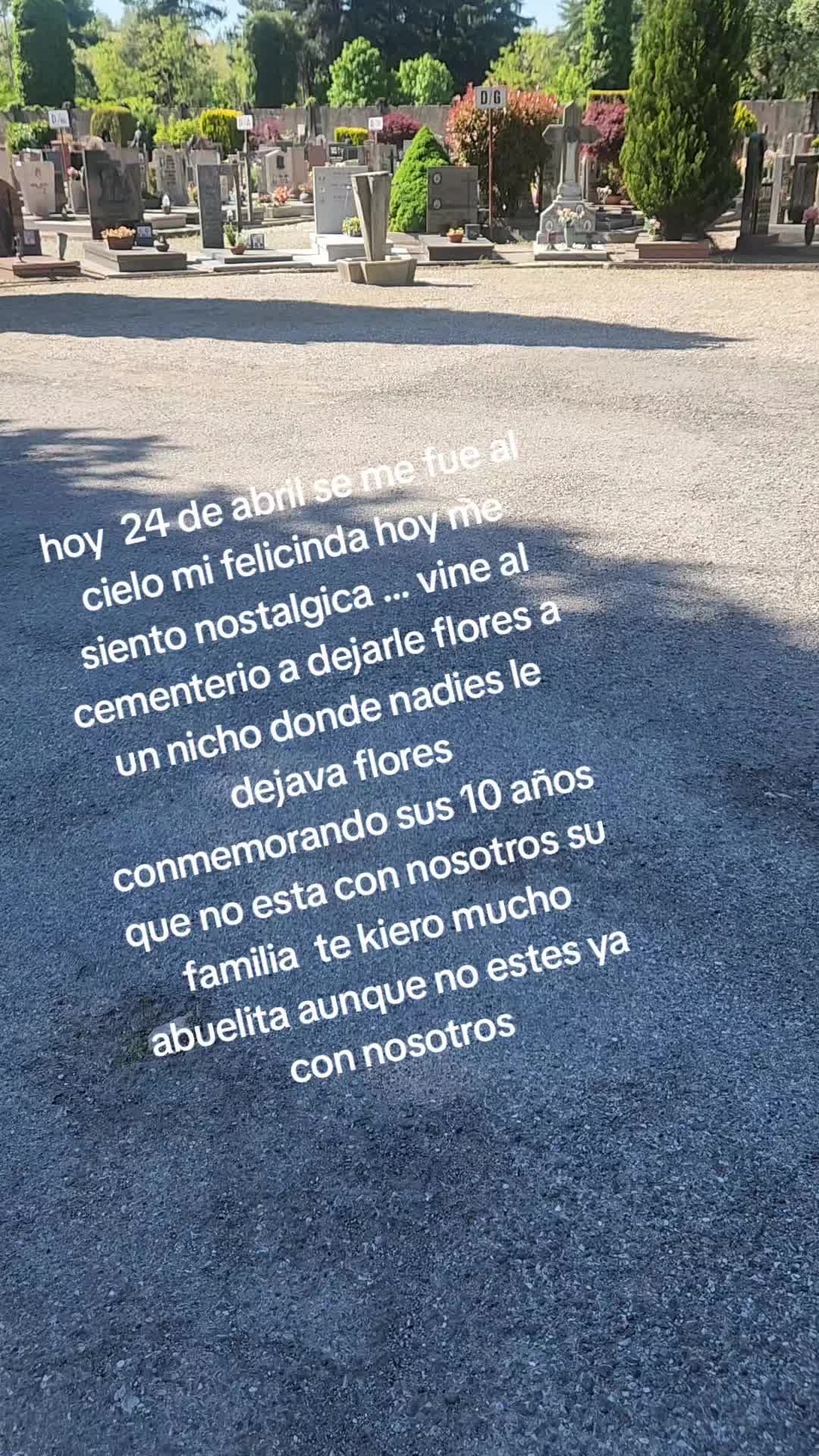 @berenice