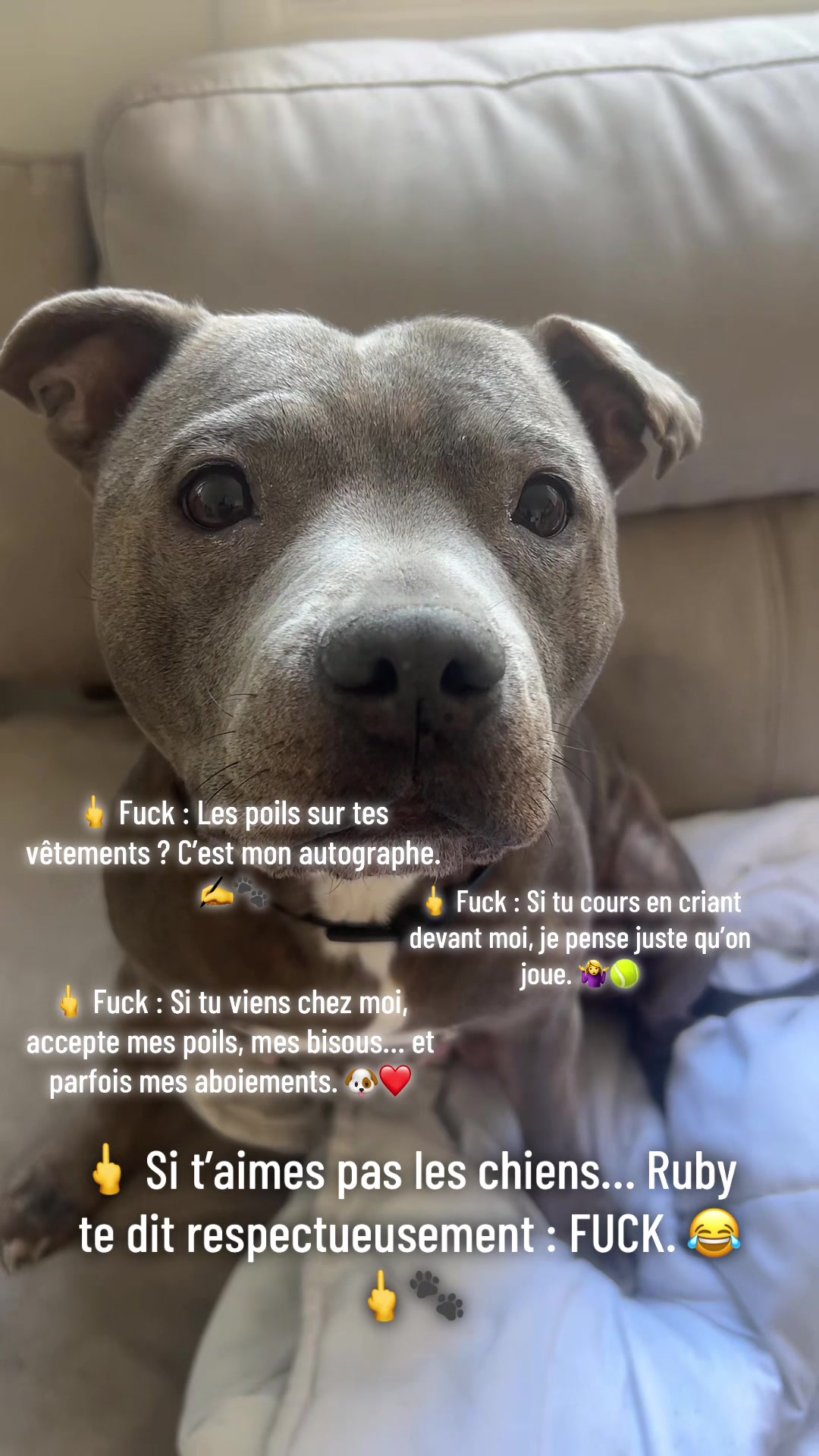 @rubylove_staffie94