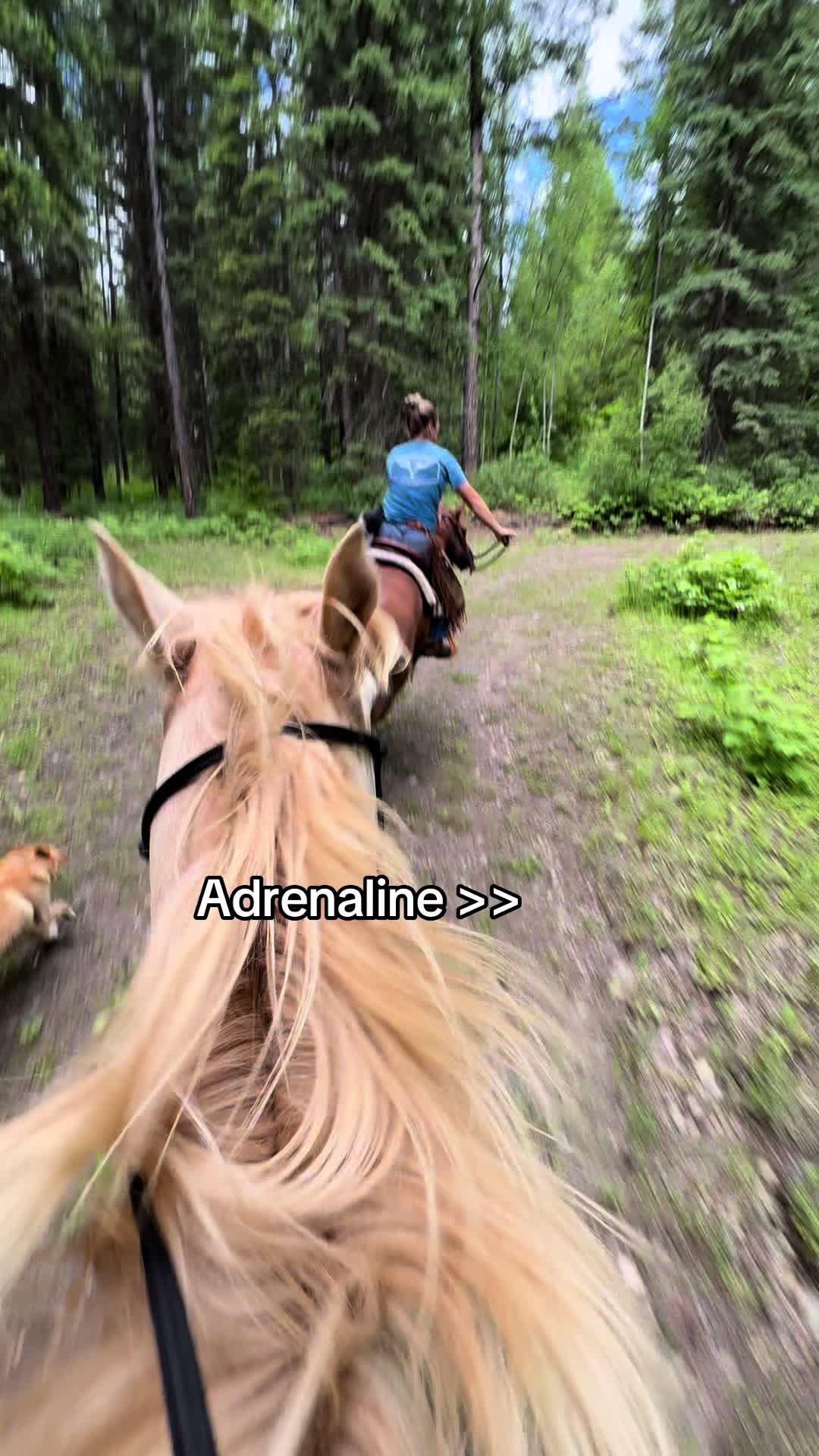 @El&eacute;onore💫