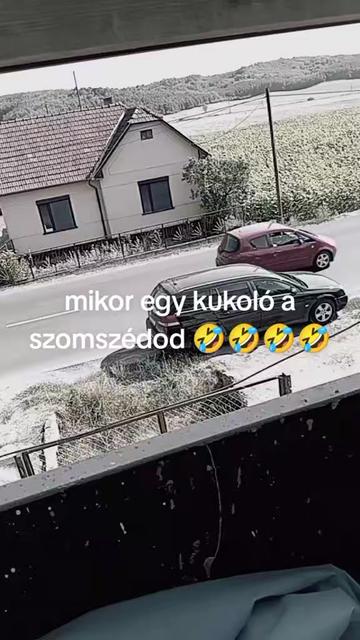 @kiss csillag 2023