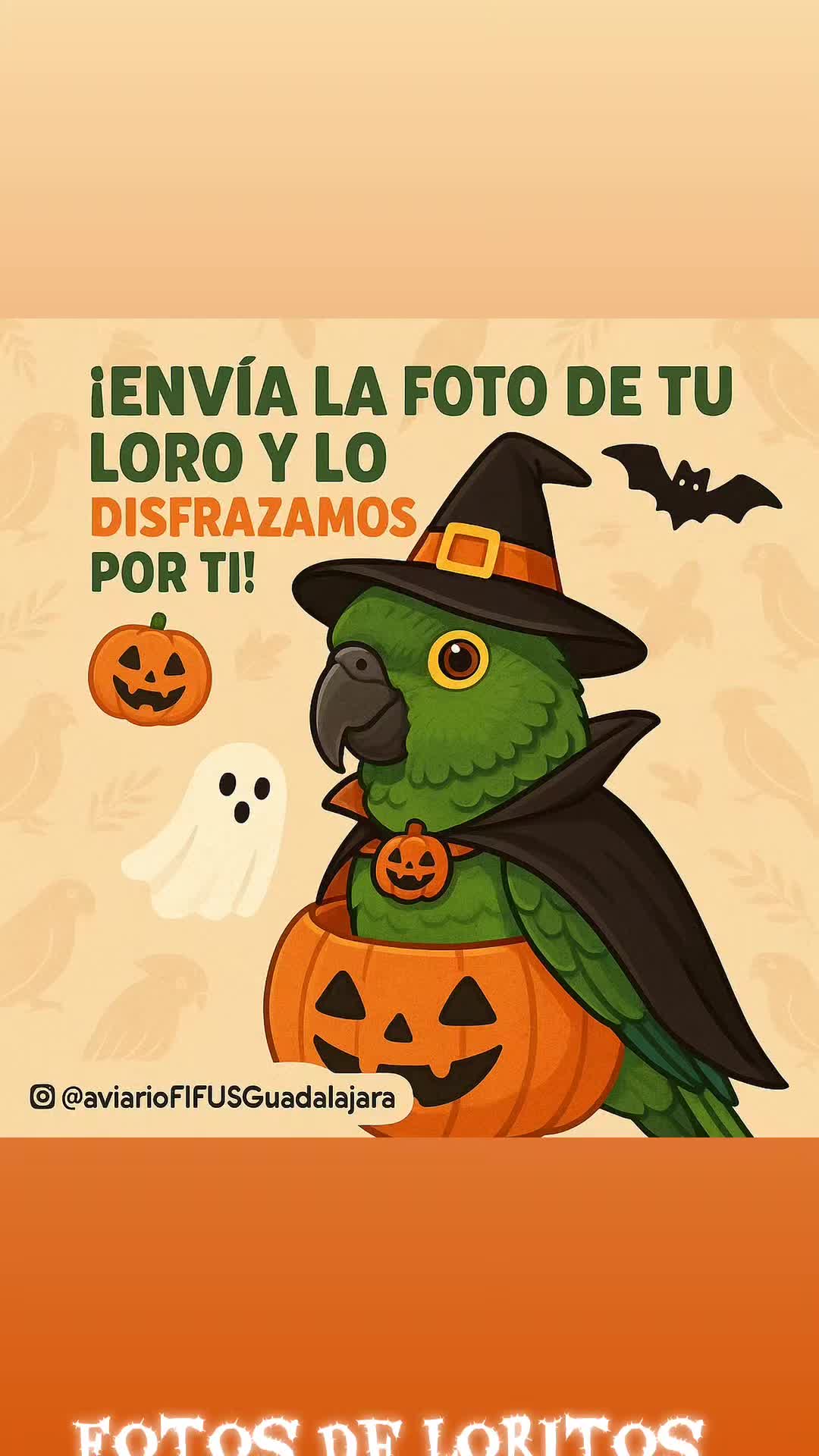 @Aviario FIFUS Guadalajara
