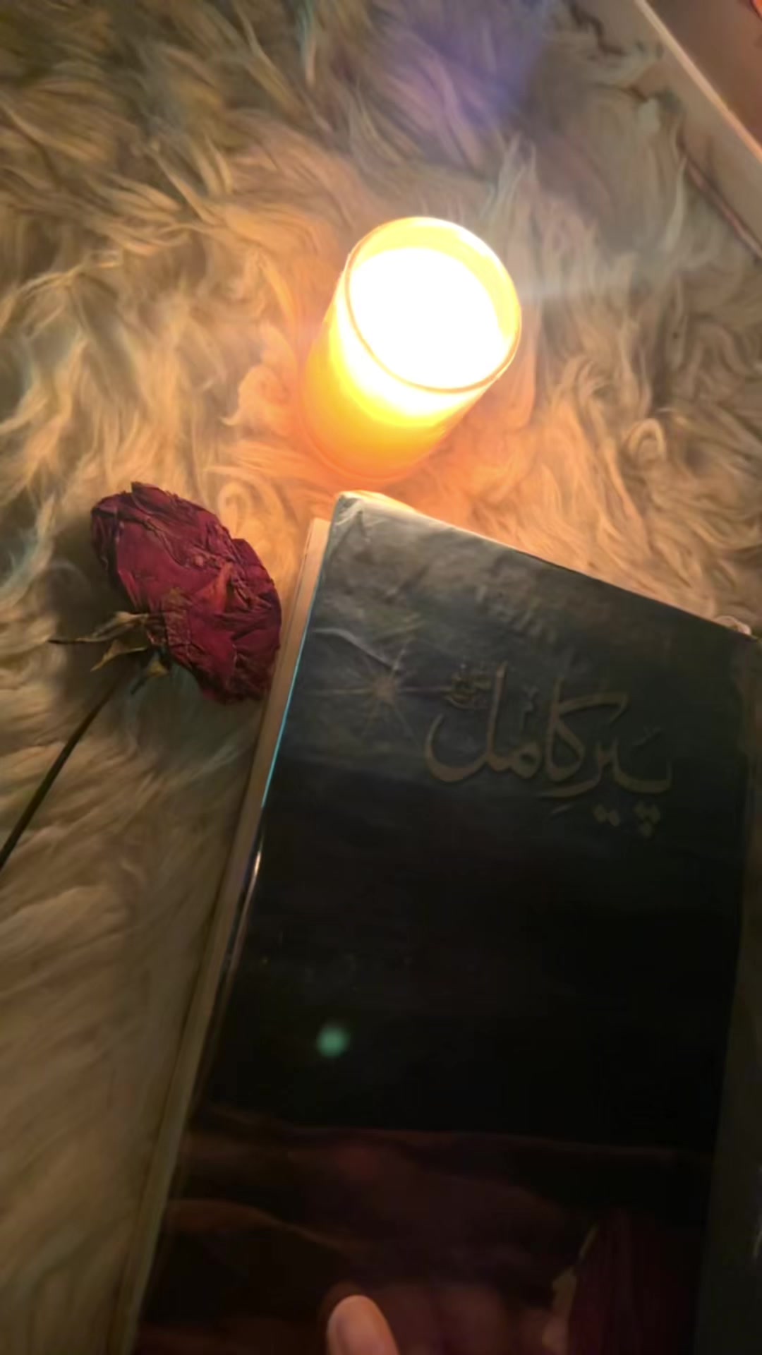 @حیانور✨
