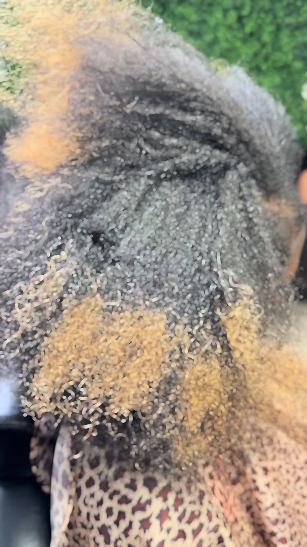 @nextlevelbeautysalon.com