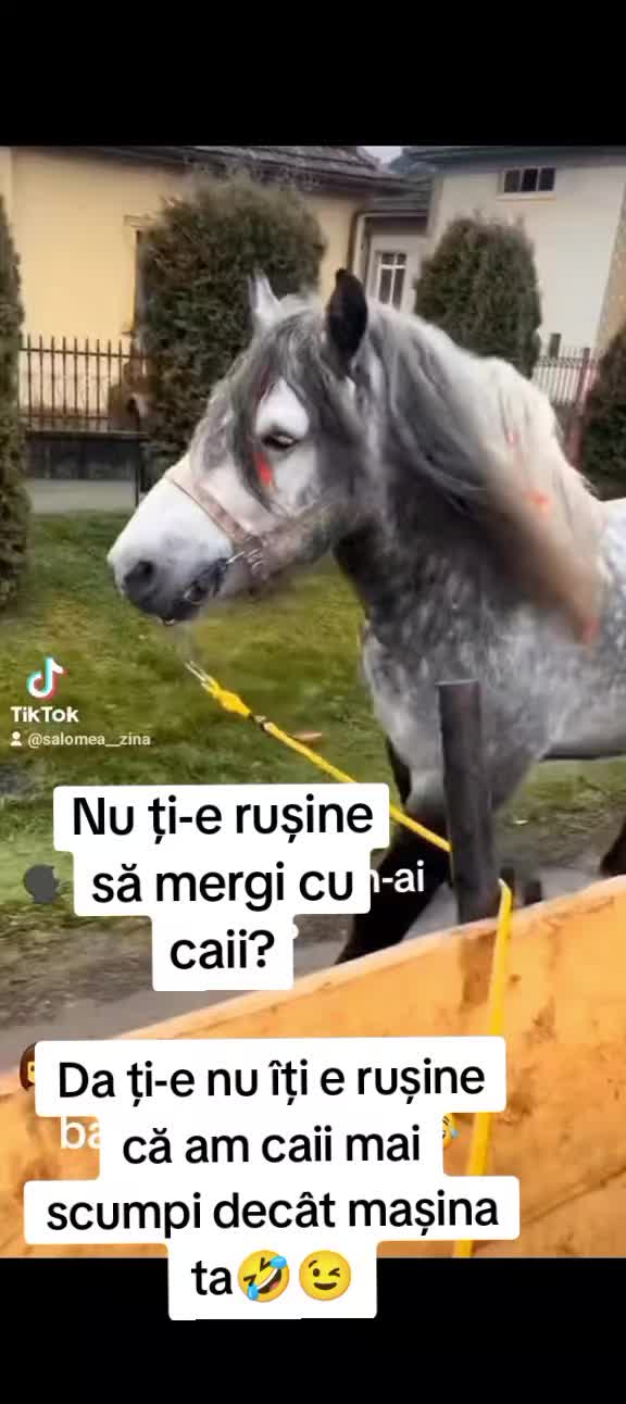 @๐๐๐ข๐ช๐ต๐ธ๐ถ๐ฎ๐ช๐๐