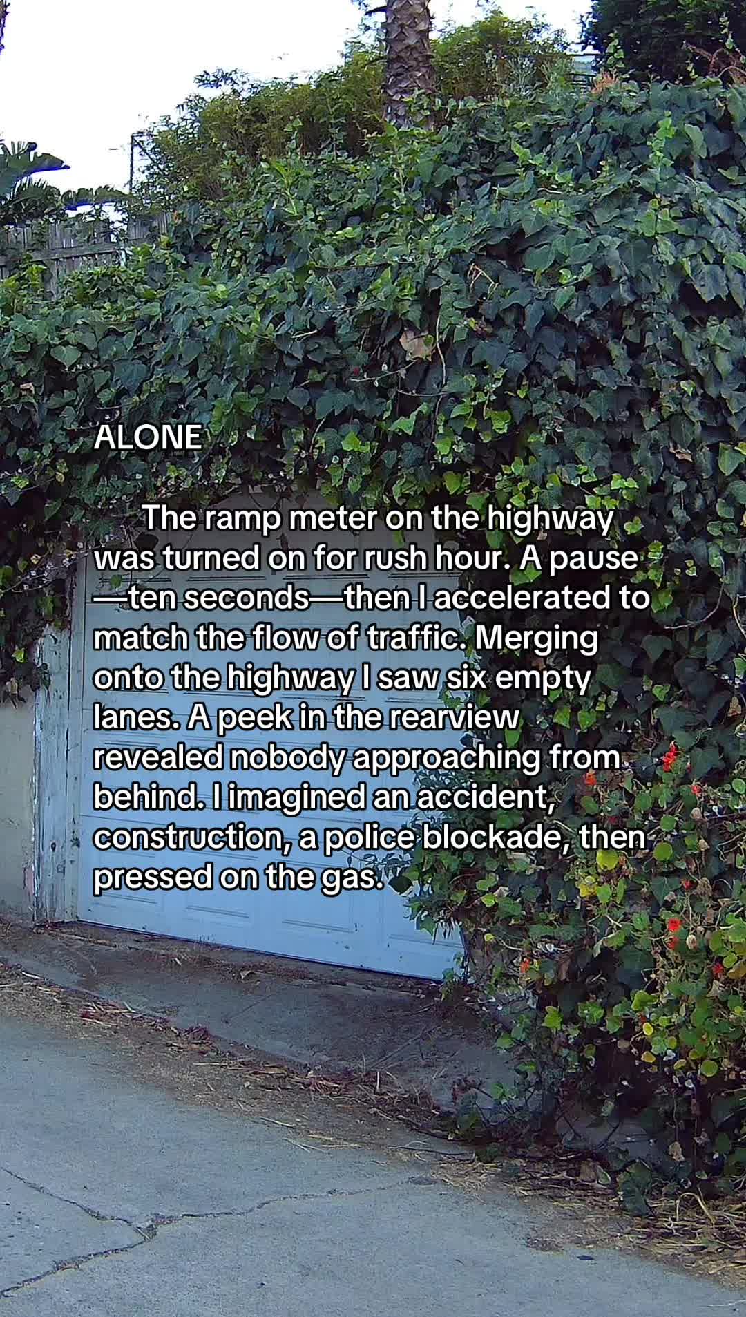 @surfnoircowboy