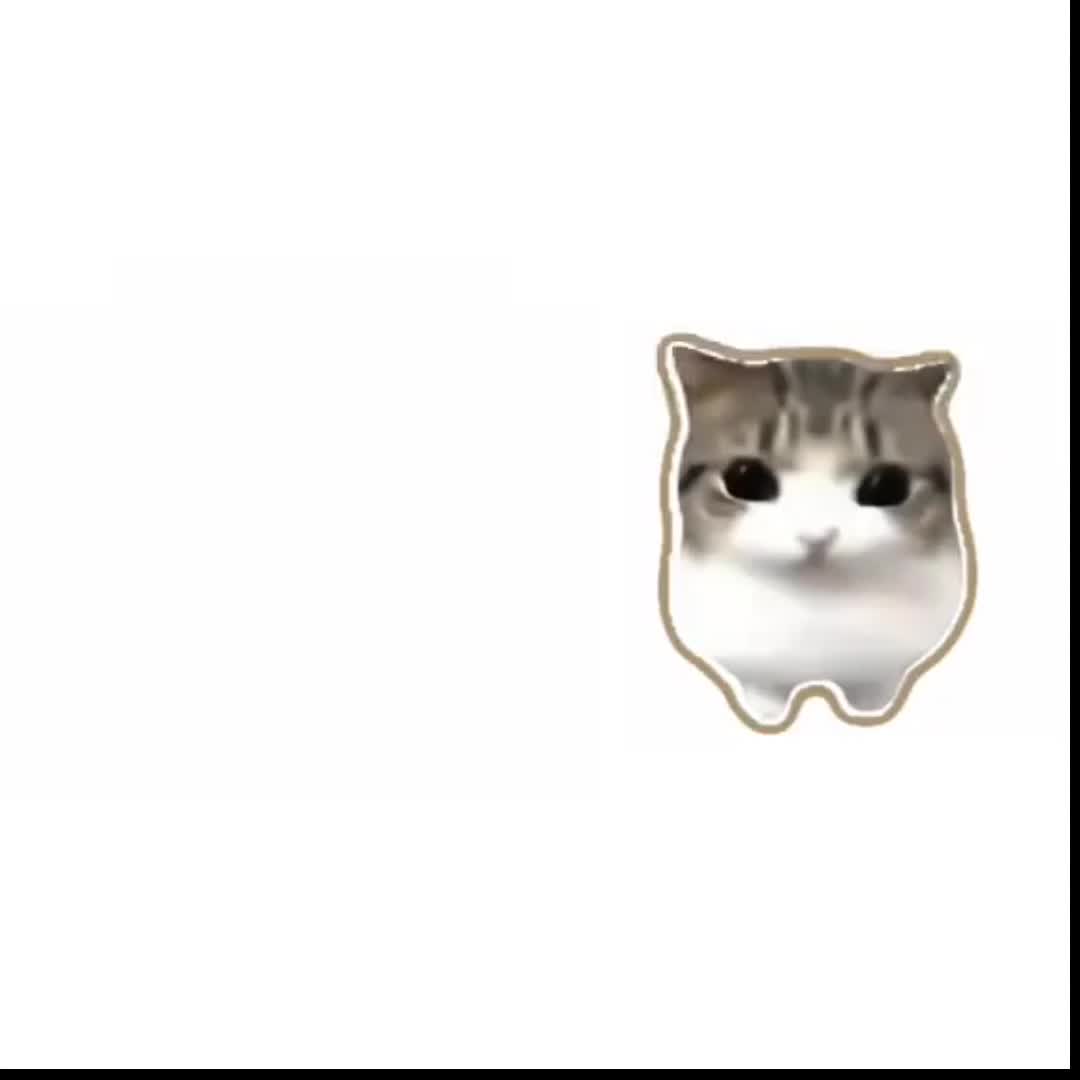 @Vast