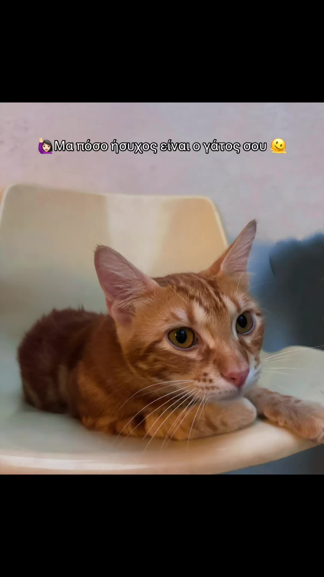 @theodosiadoym