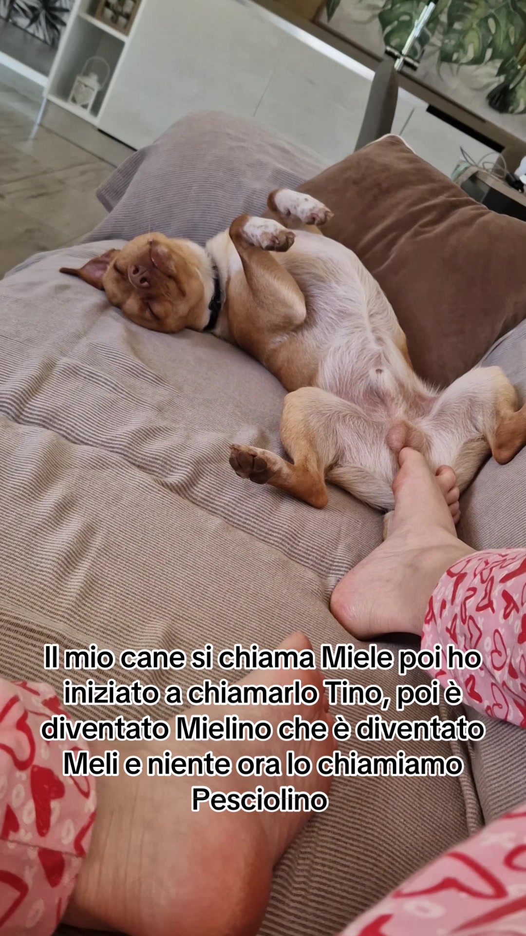 @Veronica Del Vecchio