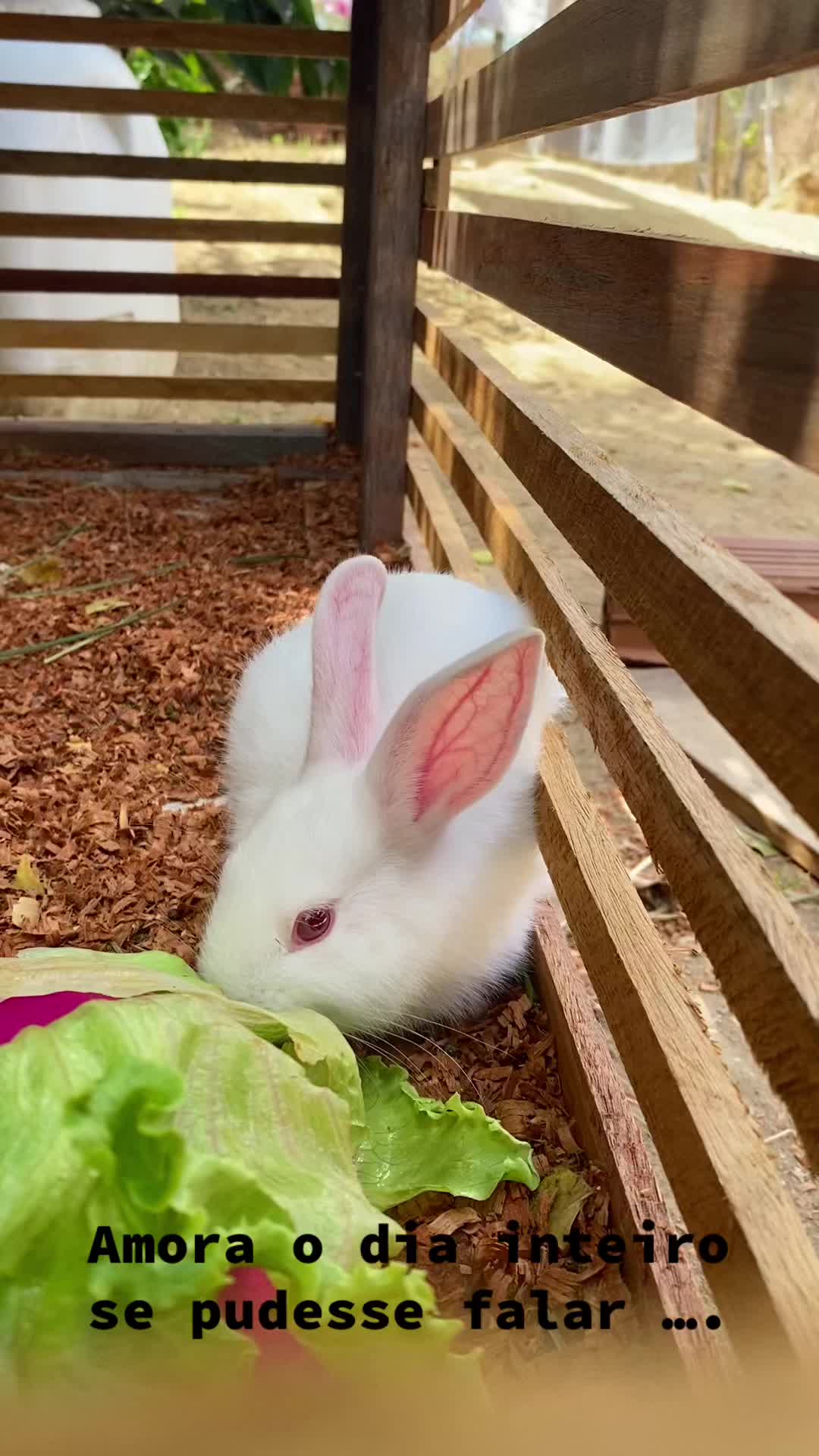 @Grazyx