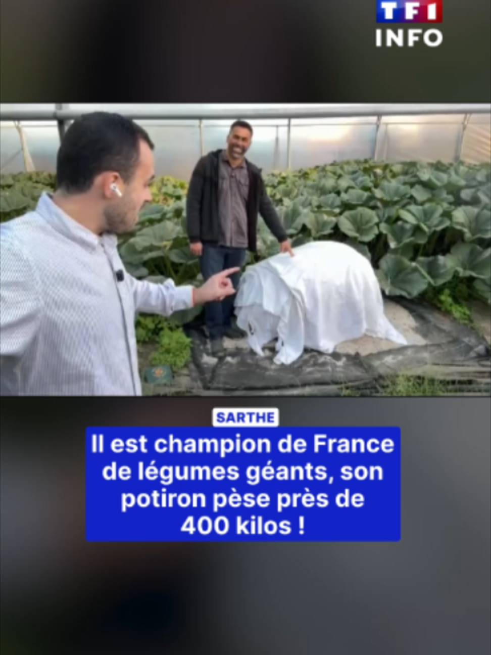 @TF1 INFO
