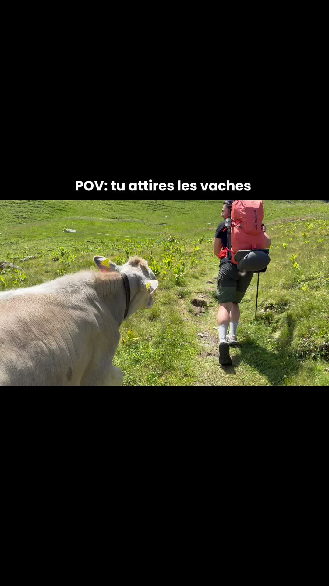 @Noam Yaron