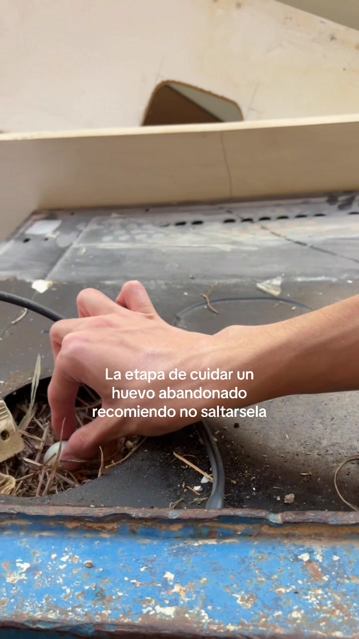 @ナイア