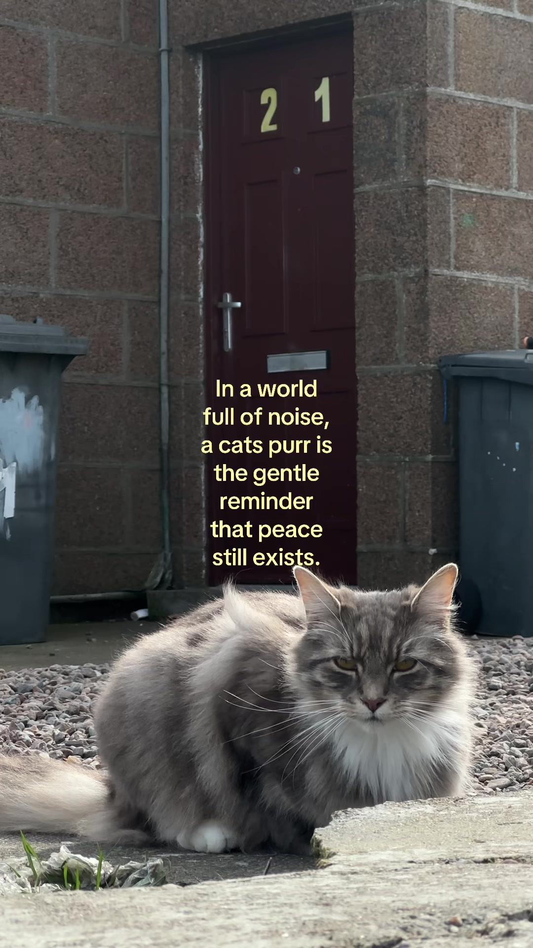 @𝒜𝓃𝒶𝓈𝓉𝒶𝓈𝒾𝒿𝒶