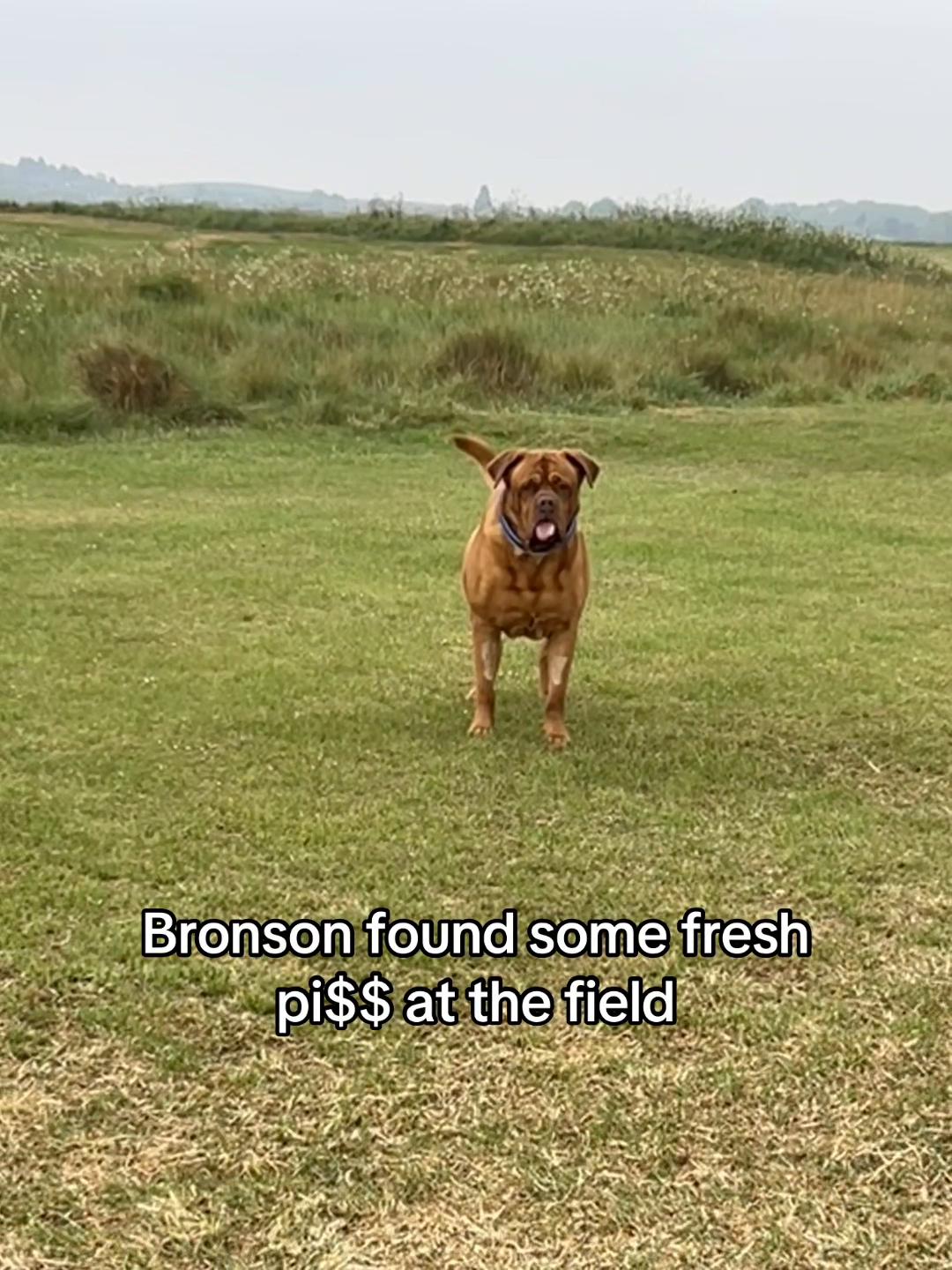 @mrbronson19