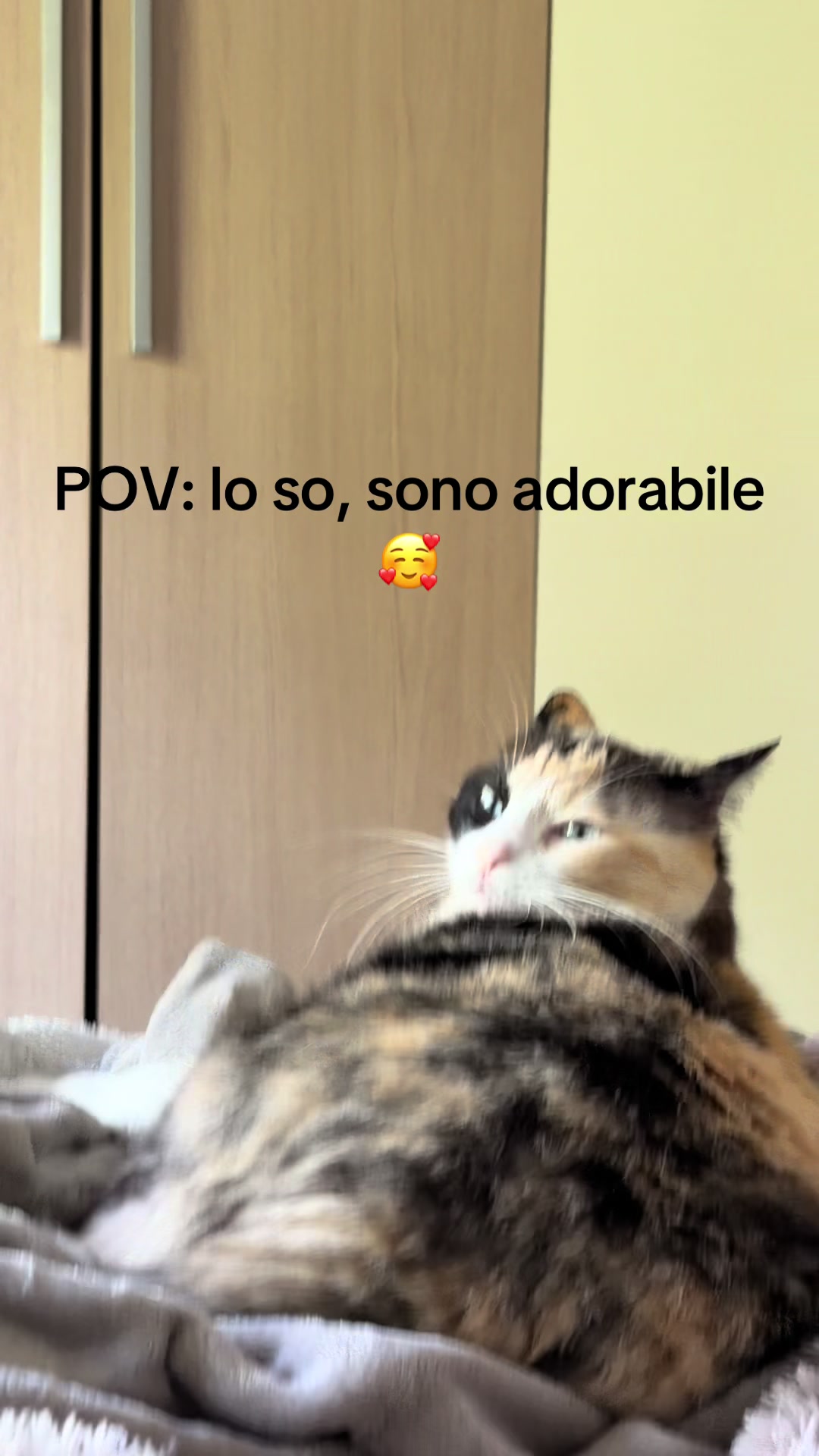@@emma.passetti