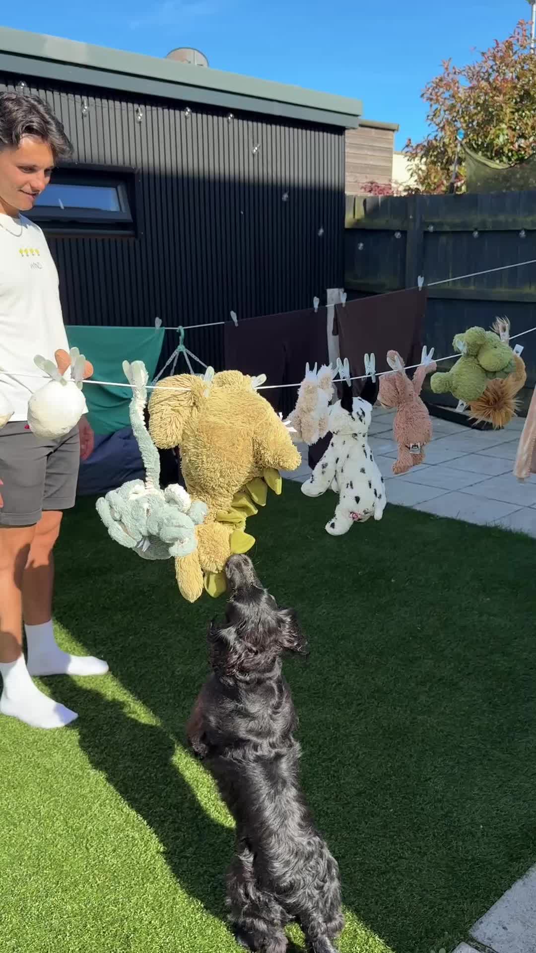 @maggie.moo.cocker